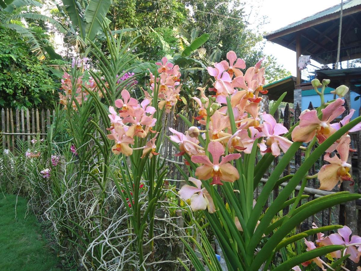 Batuan Lhoyjean Garden Hostel מראה חיצוני תמונה