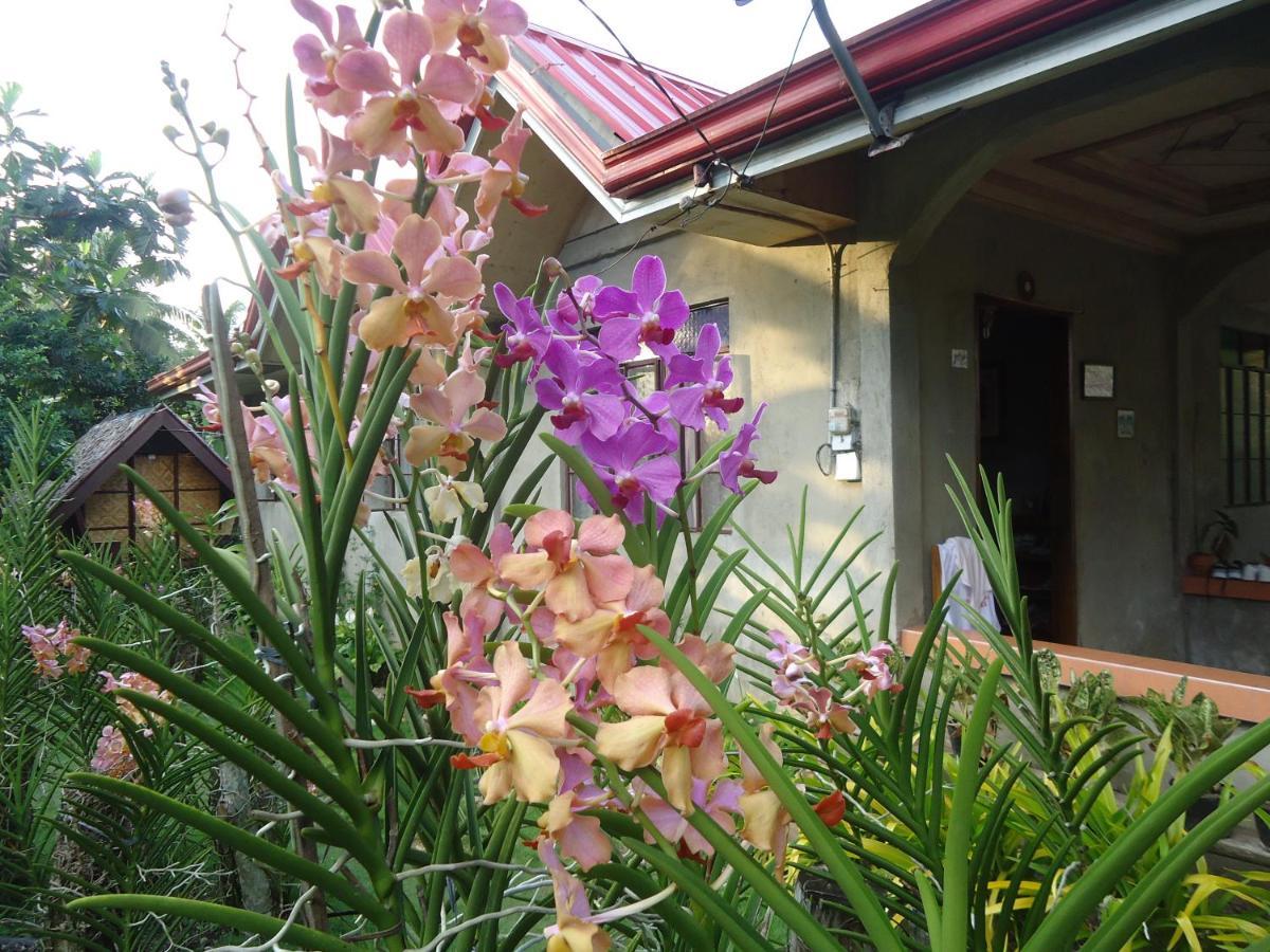 Batuan Lhoyjean Garden Hostel מראה חיצוני תמונה